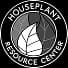 Houseplant