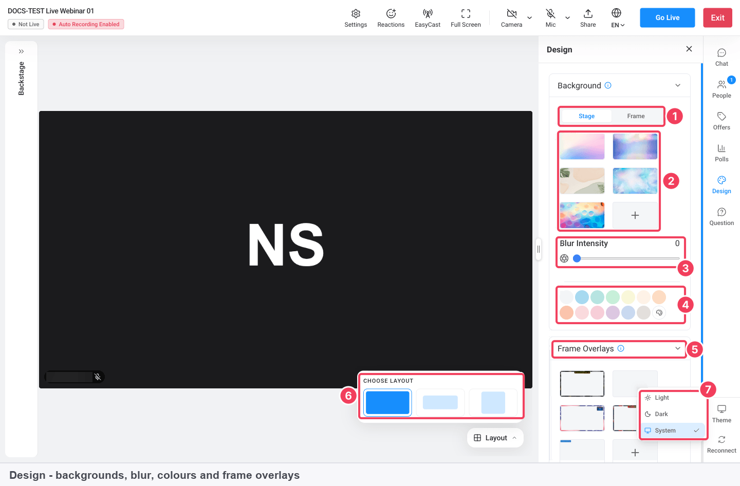 The Design panel with Stage and Frame tabs, background presets, Blur Intensity, colours, Frame Overlays, Layout and Theme marked